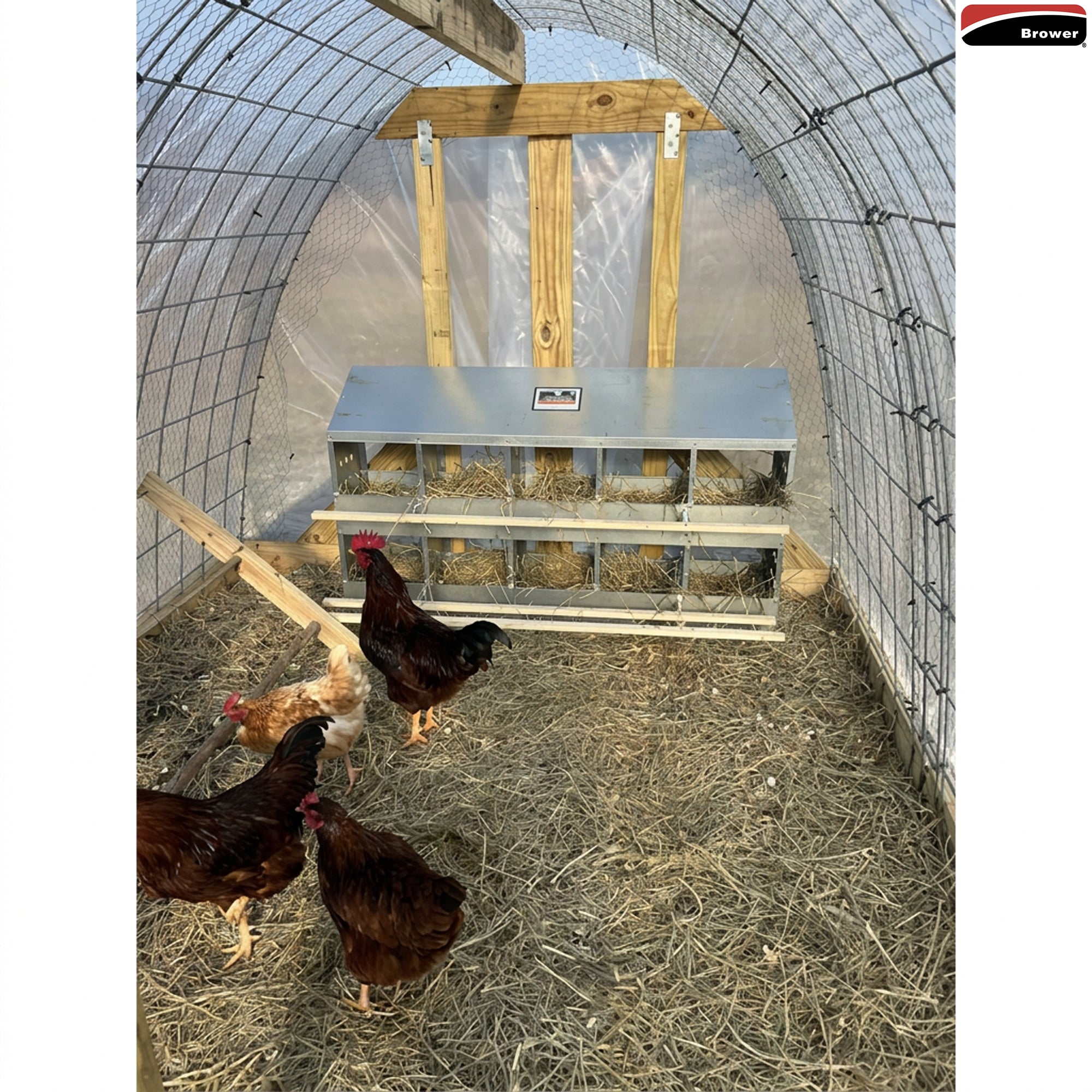 Brower 410B Steel 10 Hole 50 Bird Poultry Nest Chicken Brooding Box (Open Box) - VMInnovations