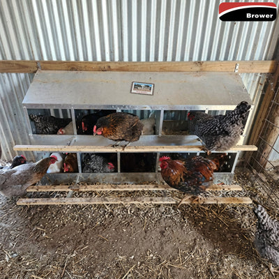 Brower 410B Steel 10 Hole 50 Bird Poultry Nest Chicken Brooding Box (Open Box) - VMInnovations