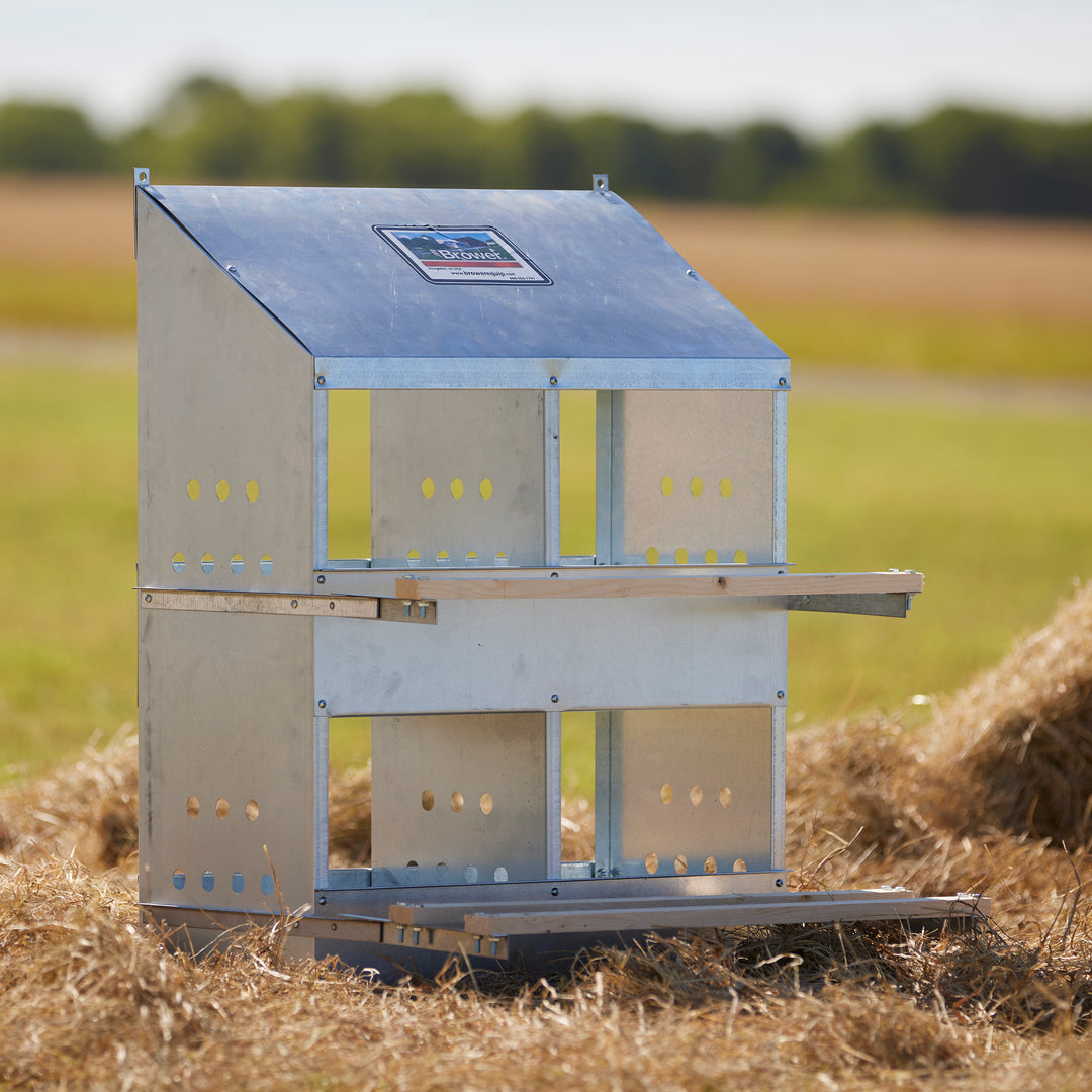 Brower 404B Galvanized Steel 4 Hole 20 Bird Nest Chicken Brooding Box (2 Pack)