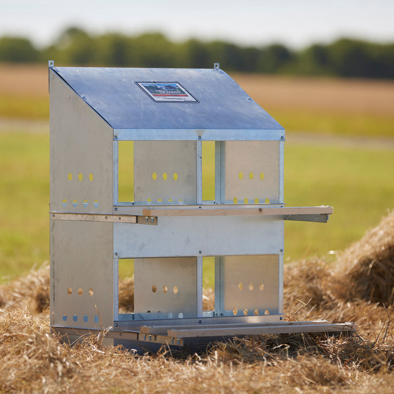 Brower Galvanize Steel 4Hole 20Bird Poultry Nest Chicken Brooding Box (Open Box)