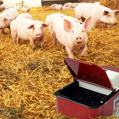 Brower 2 Pack Electric Heated Livestock Waterer, 11 Inch Insulated Steel, Red