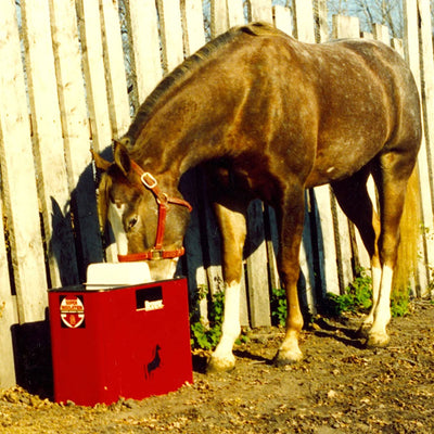 Brower 2 Pack Electric Heated Livestock Waterer, 18 Inch Insulated Steel, Red - VMInnovations