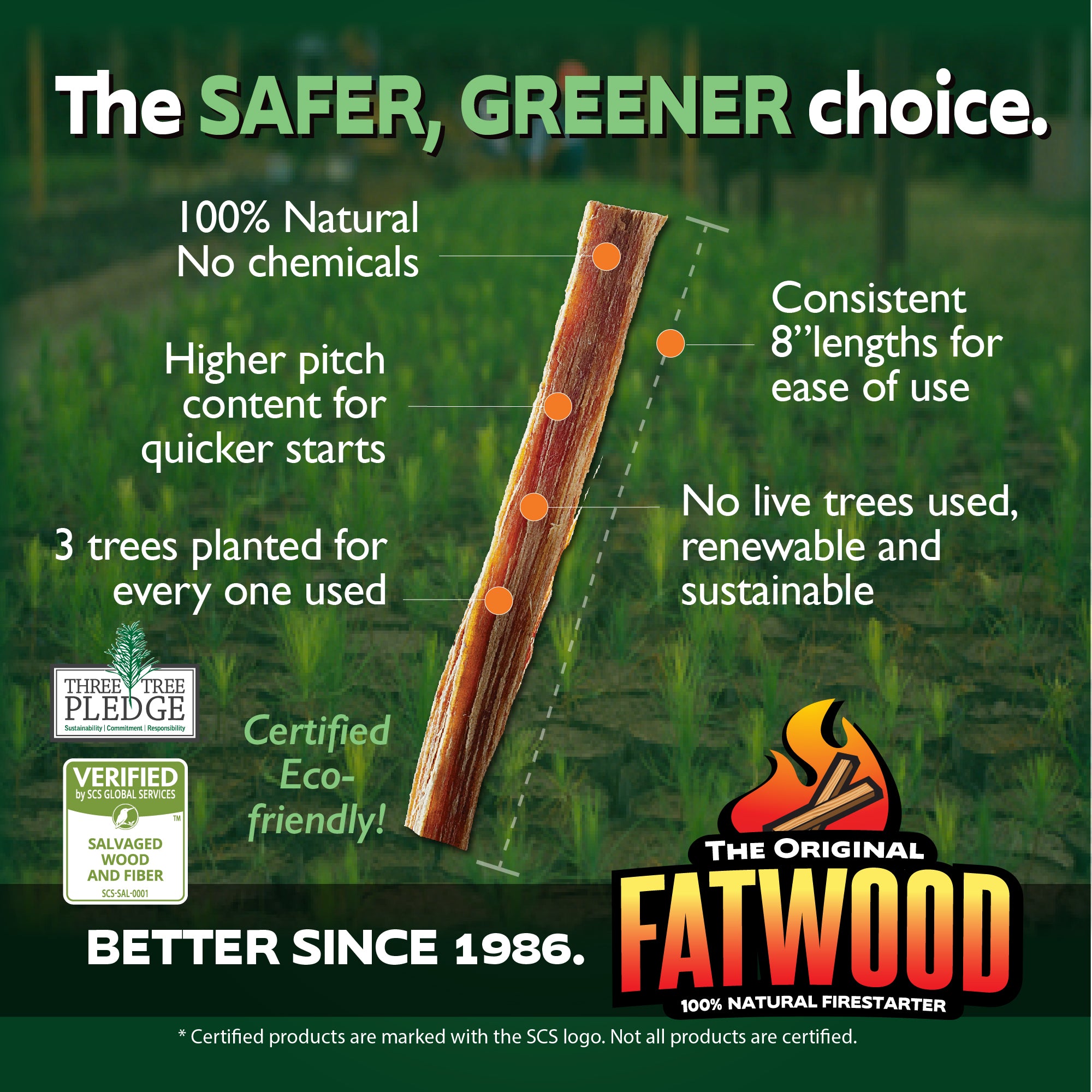 Better Wood Products Protect the Parks Series Fatwood Firestarter Crate (Used)