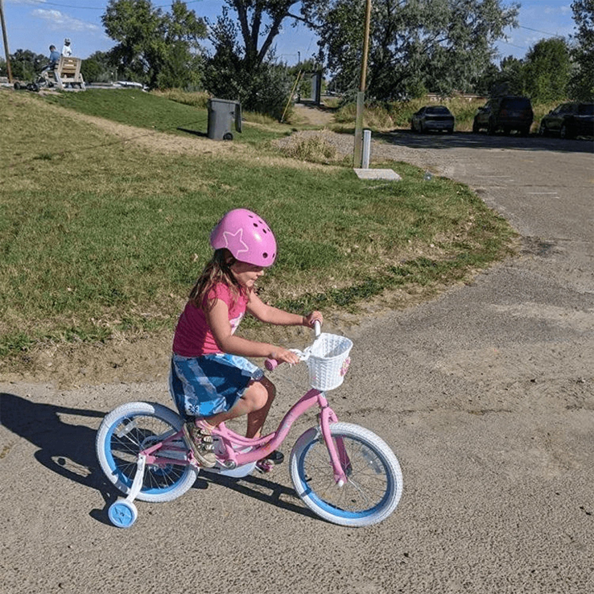 Fairy 14 In Kids Bike w/Training Wheels for Ages 3 to 5, Pink & Blue (Open Box) - VMInnovations