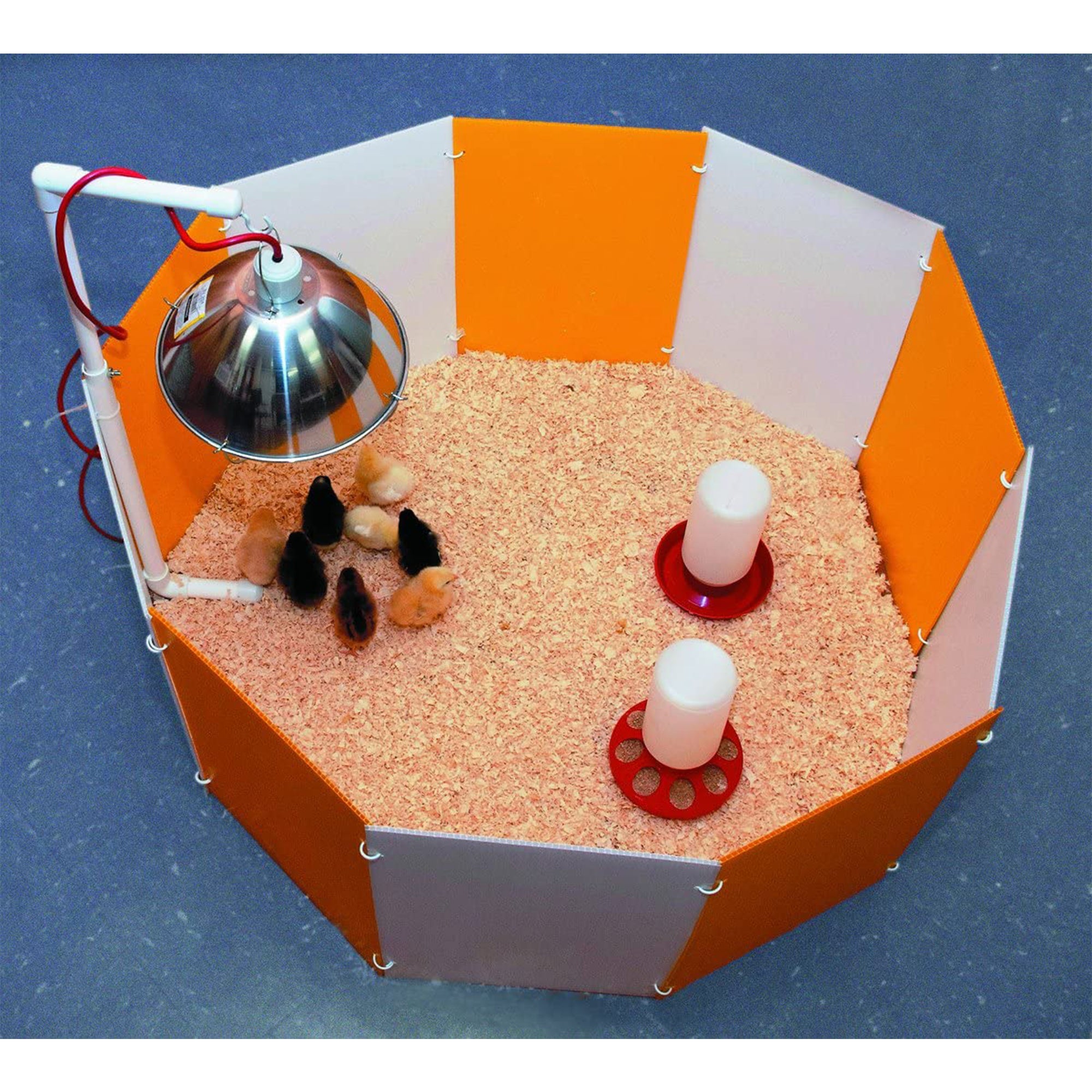 Farm Innovators Baby Chick Starter Home Kit with Adjustable Lamp Hanger (4 Pack) - VMInnovations