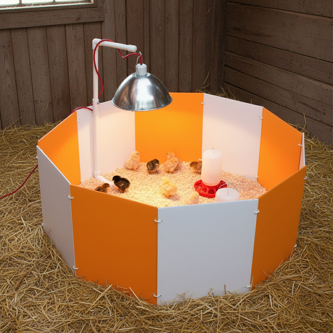 Farm Innovators 3700 Baby Chick Starter Home Kit with Lamp Hanger (Open Box) - VMInnovations