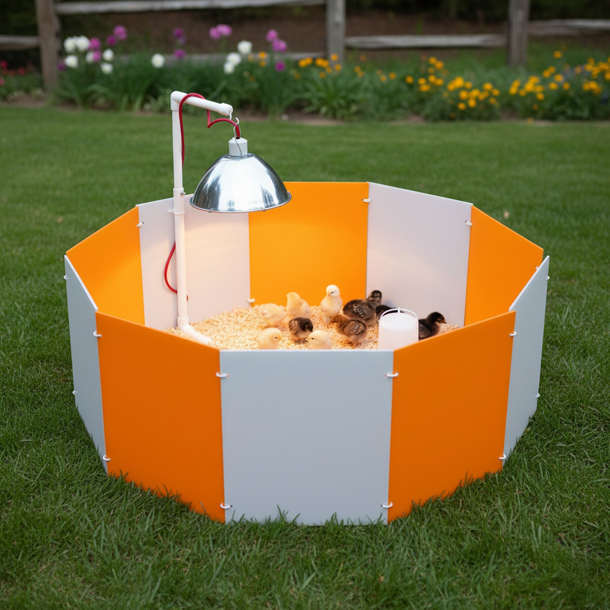 Farm Innovators 3700 Baby Chick Starter Home Kit with Adjustable Lamp Hanger - VMInnovations