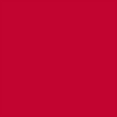 TRC Super Soft 2 Inch Thick Vinyl Foam Swimming Pool Float Mat, Red (Used) - VMInnovations