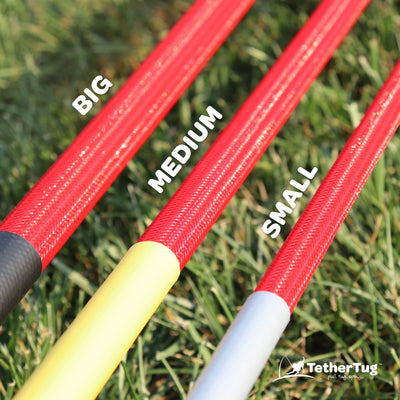 Tether Tug Interactive Outdoor Pole Rope Toy for Medium Dogs (For Parts)