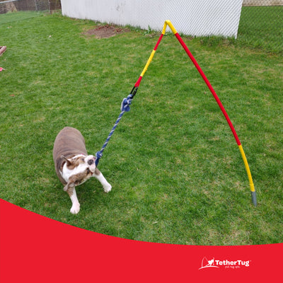 Tether Tug Interactive Outdoor Pole Rope Toy for Medium Dogs (For Parts)