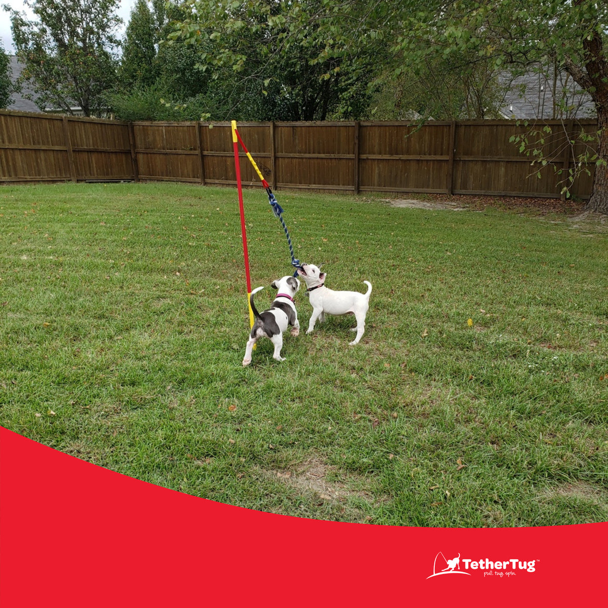 Tether Tug Interactive Outdoor Pole Rope Toy for Medium Dogs Under 70 lbs (Used)