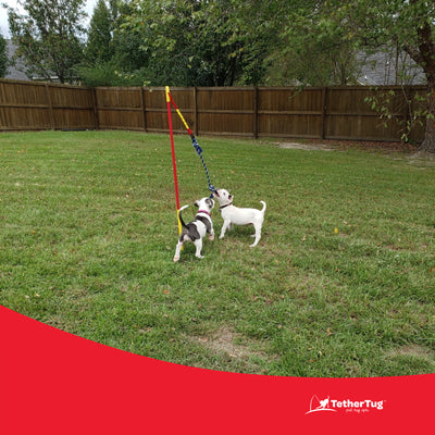 Tether Tug Interactive Outdoor Pole Rope Toy for Medium Dogs (For Parts)