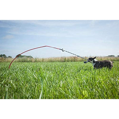 Tether Tug Interactive Indoor Outdoor Pole Rope Toy for Small Dogs Under 35 lbs