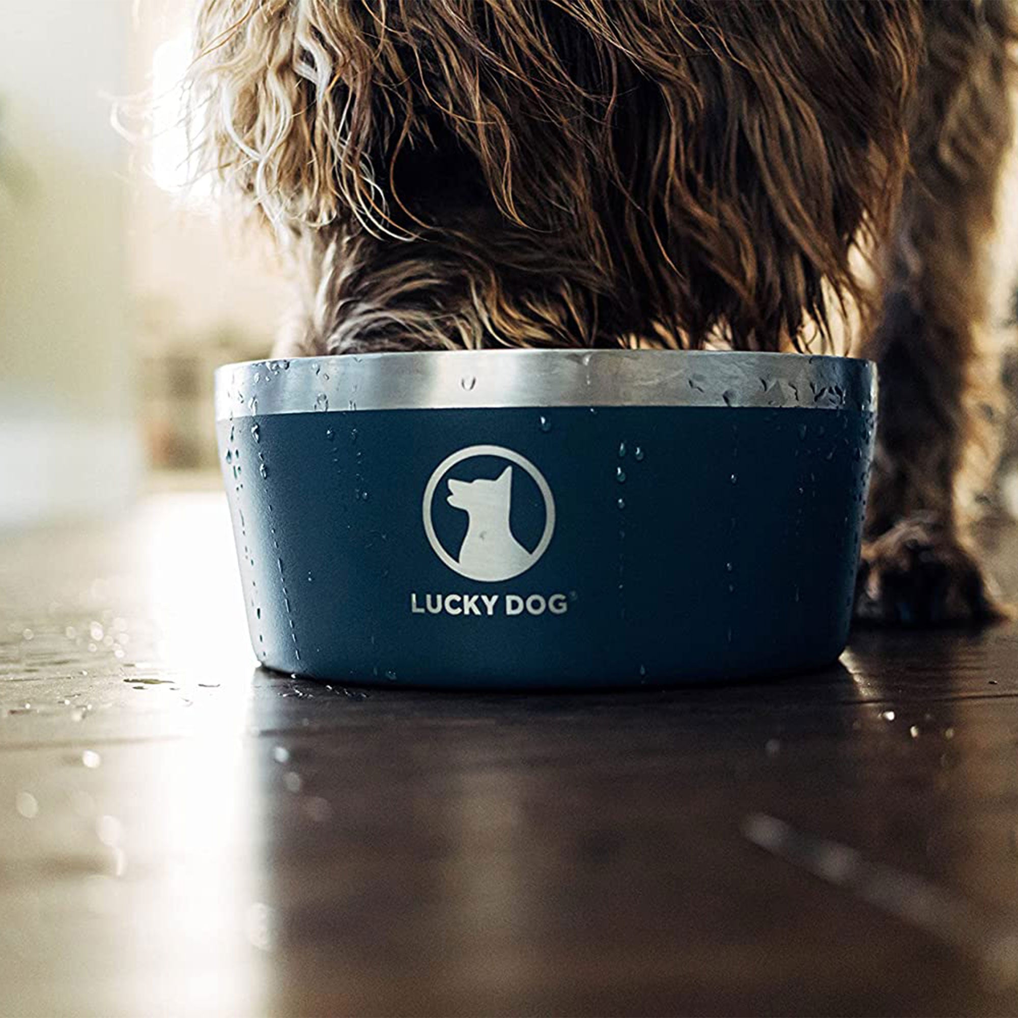Lucky Dog INDULGE Double Wall Stainless Steel Dog Bowl, 8 Cup, 64 Oz (Open Box)