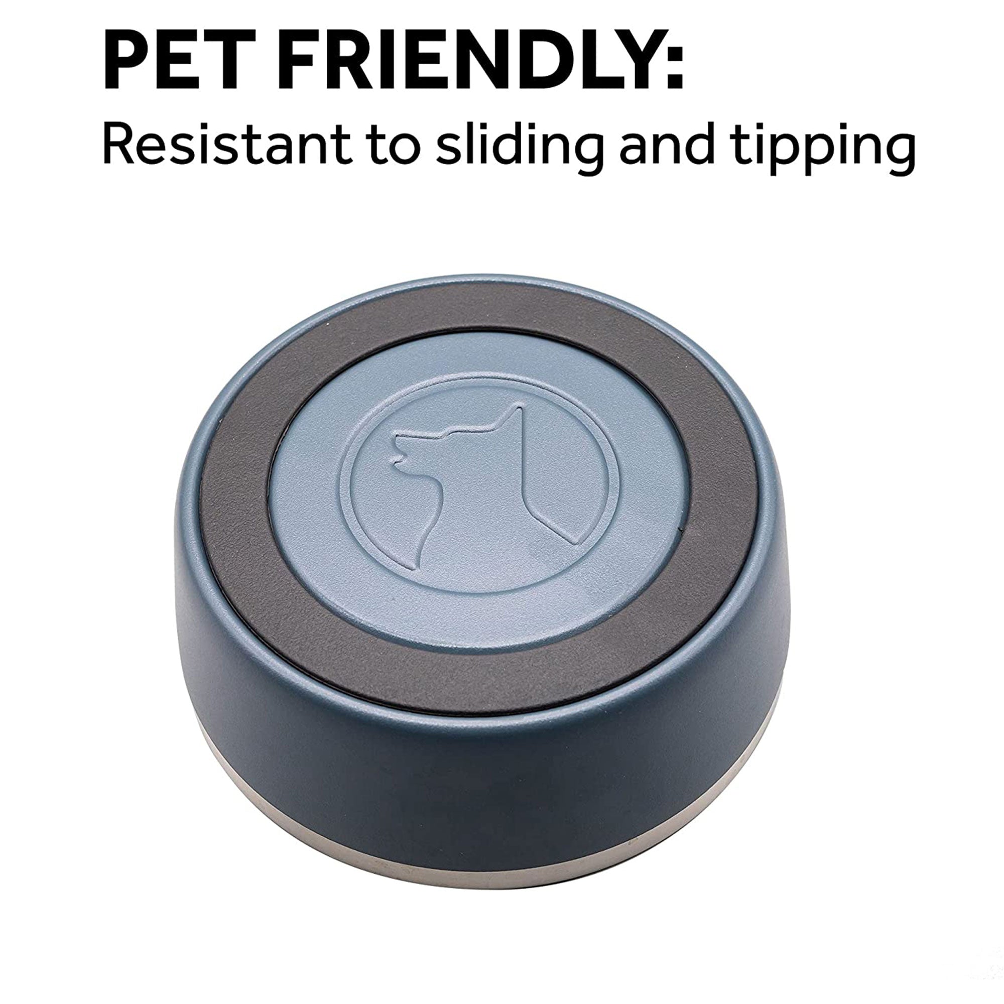 Lucky Dog INDULGE Double Wall Stainless Steel Dog Bowl, 5 Cup, 40 Ounce, Blue