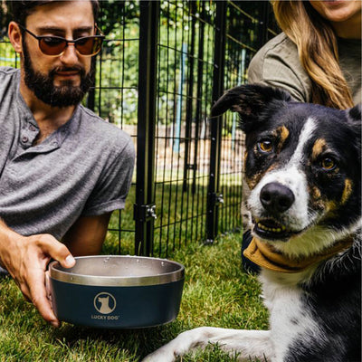 Lucky Dog INDULGE Double Wall Stainless Steel Dog Bowl, 5 Cup, 40 Ounce, Blue