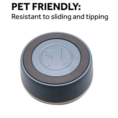 Lucky Dog INDULGE Double Wall Stainless Steel Dog Bowl, 5 Cup, 40 Ounce, Red
