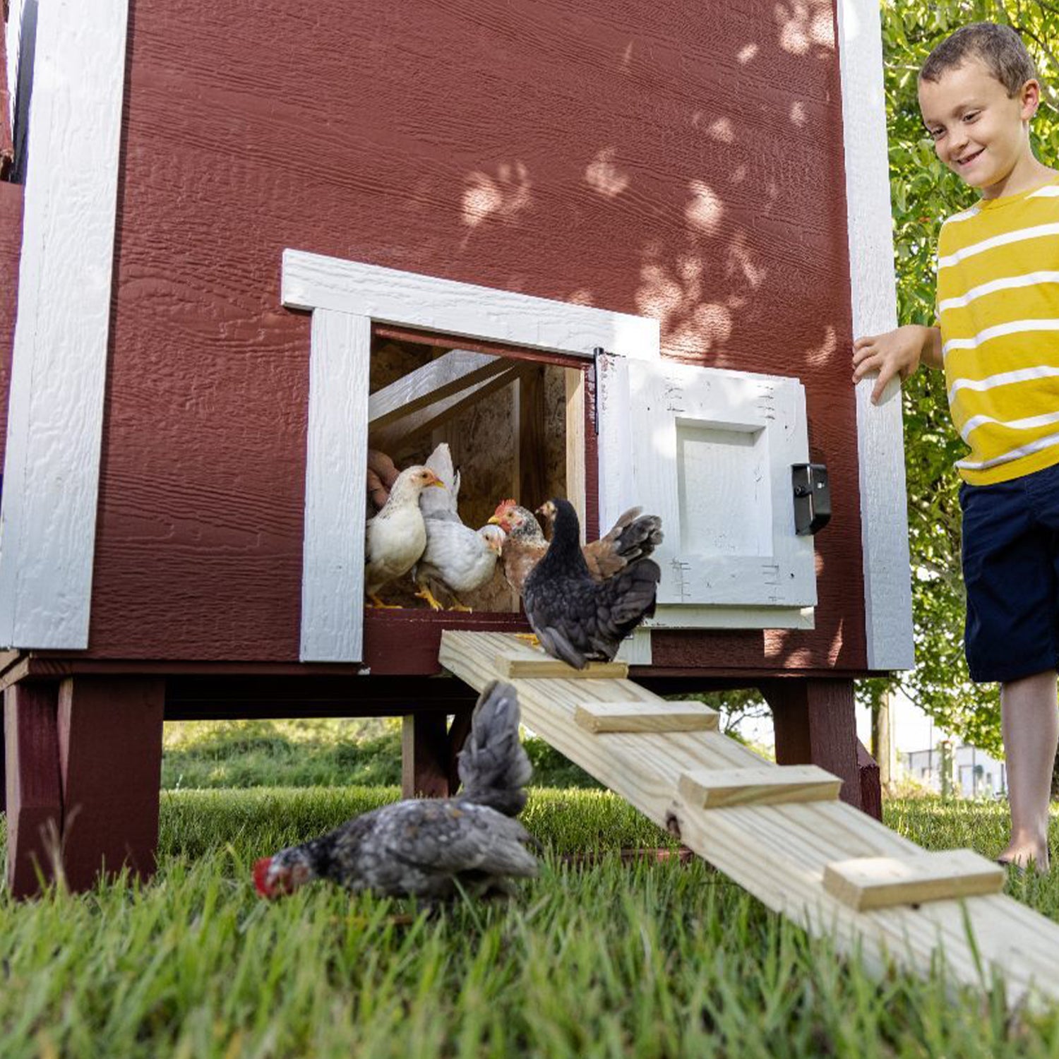 OverEZ Wooden Poultry Hen Chicken Coop w/ Feeders, Heaters, and Water Dispenser