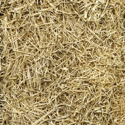 Rhino Seed EZ Straw 2.5 Cubic Feet Seeding Mulch Bale with Tack, 500 Square Feet