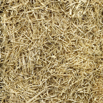 Rhino Seed EZ Straw 1 Cubic Foot Seeding Mulch Bale w/Tack, 200 Square Ft(Used) - VMInnovations