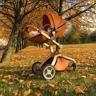 Hot Mom 360 Degree Rotating Baby Carriage High Landscape Pram Stroller, Brown - VMInnovations