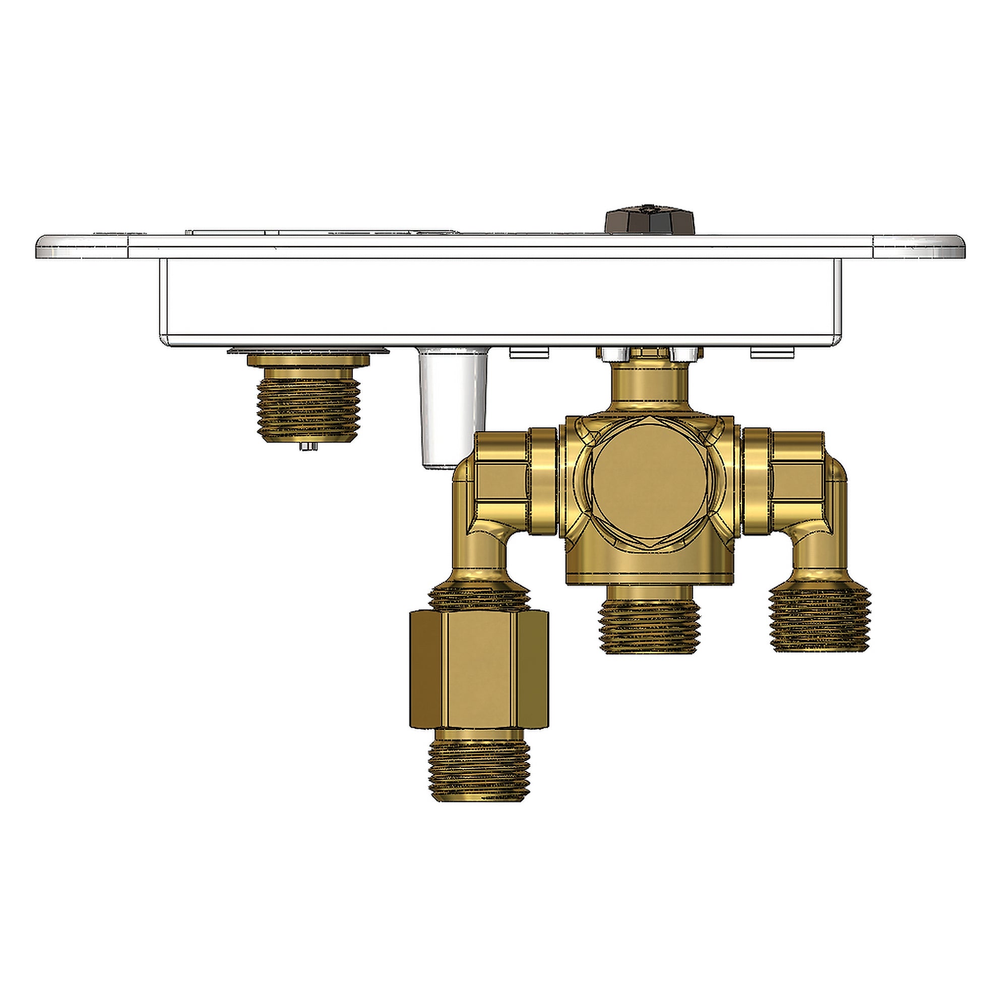 ABCO RV MANRV101-RF RV Water Panel with 4 Function Lead Brass Valve (Open Box)