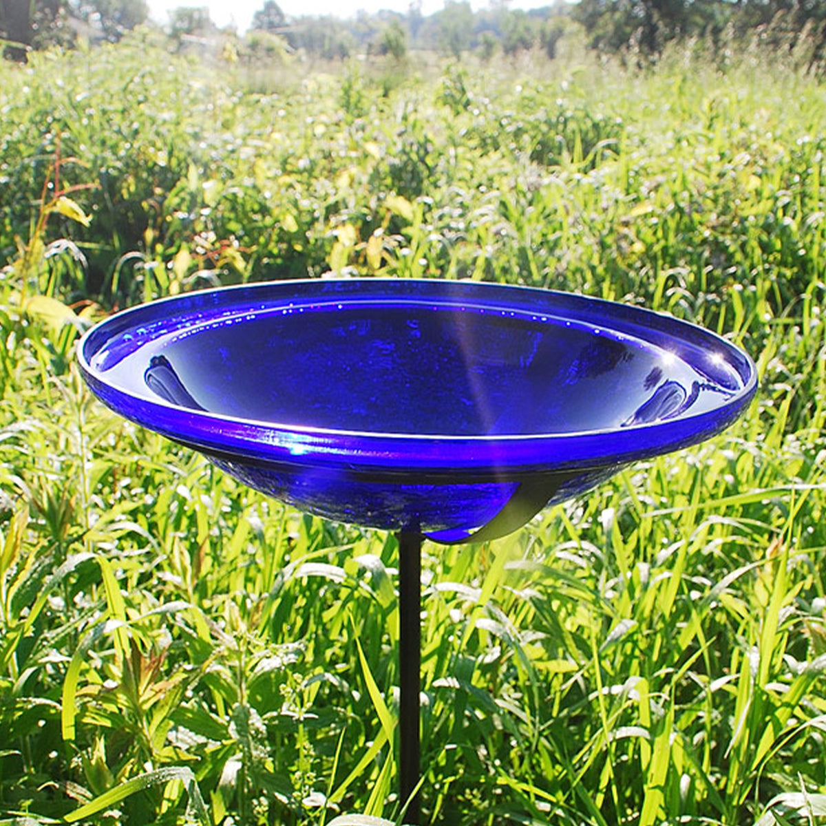 Achla Designs 12 Inch Hand Blown Crackle Glass Birdbath with Stake (Open Box)