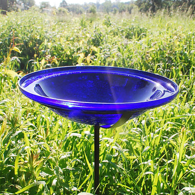 Achla Designs 12 Inch Hand Blown Crackle Glass Birdbath with Stake (Open Box)