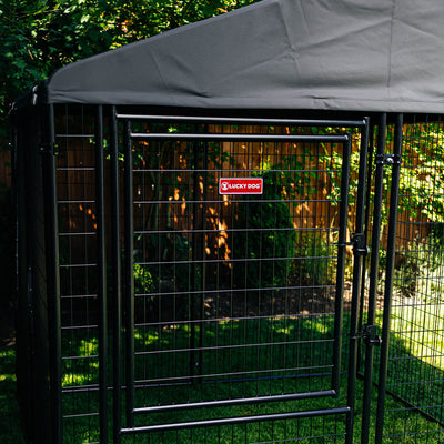 Lucky Dog STAY Series 8 x 8 x 6 Foot Roofed Steel Frame Executive Dog Kennel - VMInnovations