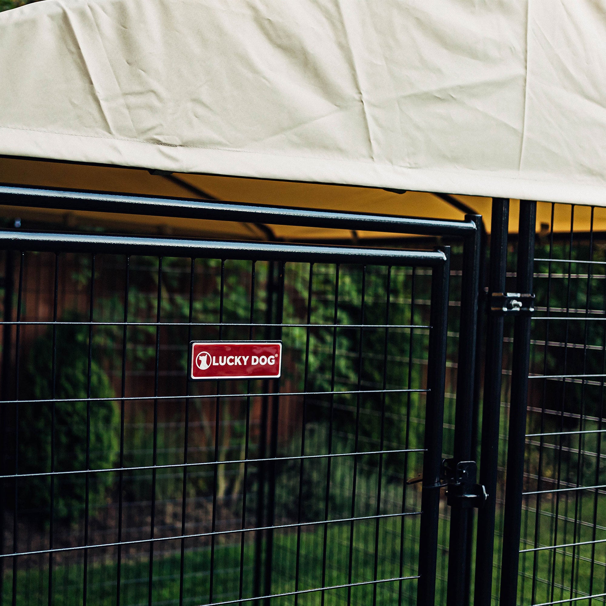 Lucky Dog STAY Series 8 x 8 x 6 Foot Roofed Steel Frame Executive Dog Kennel - VMInnovations
