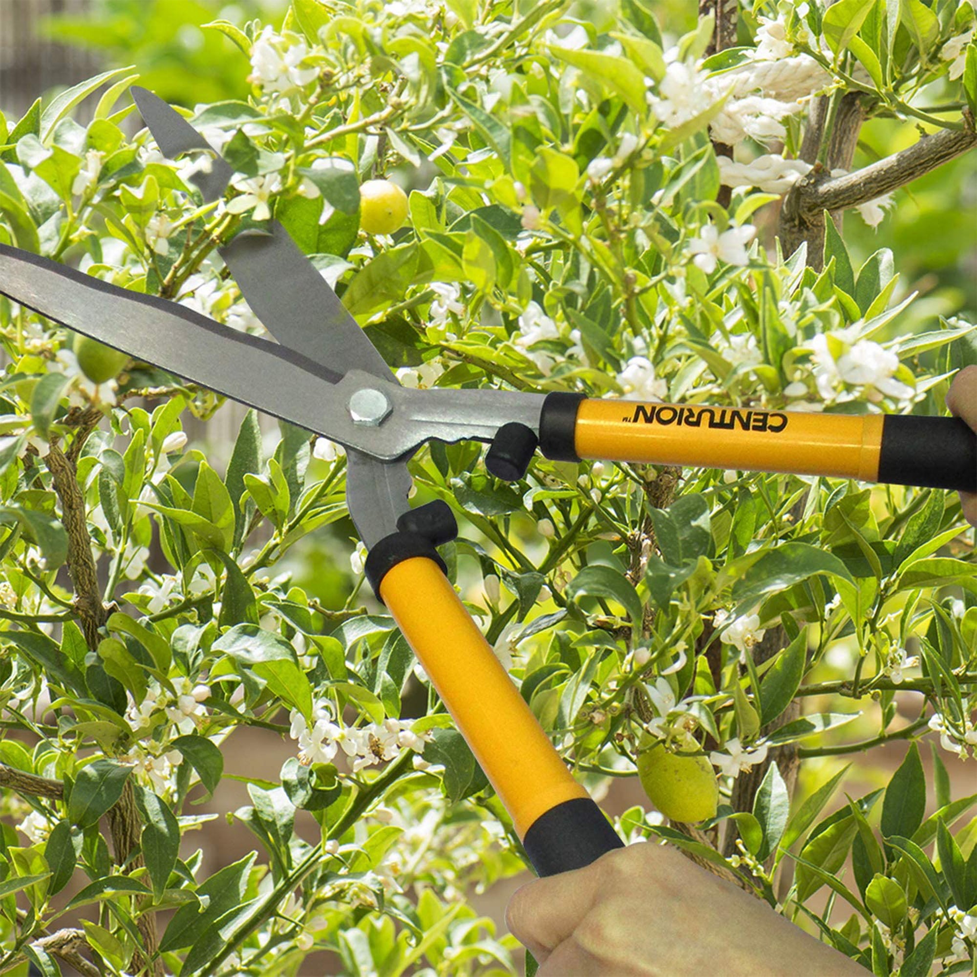 CENTURION 3 Piece Cutting Combo Set and 26.5 Inch Shorty Shovel w/ D Grip Handle