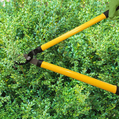 CENTURION 1222 3 Piece Lopper, Hedge Shear, and Pruner Branch Cutting Combo Set