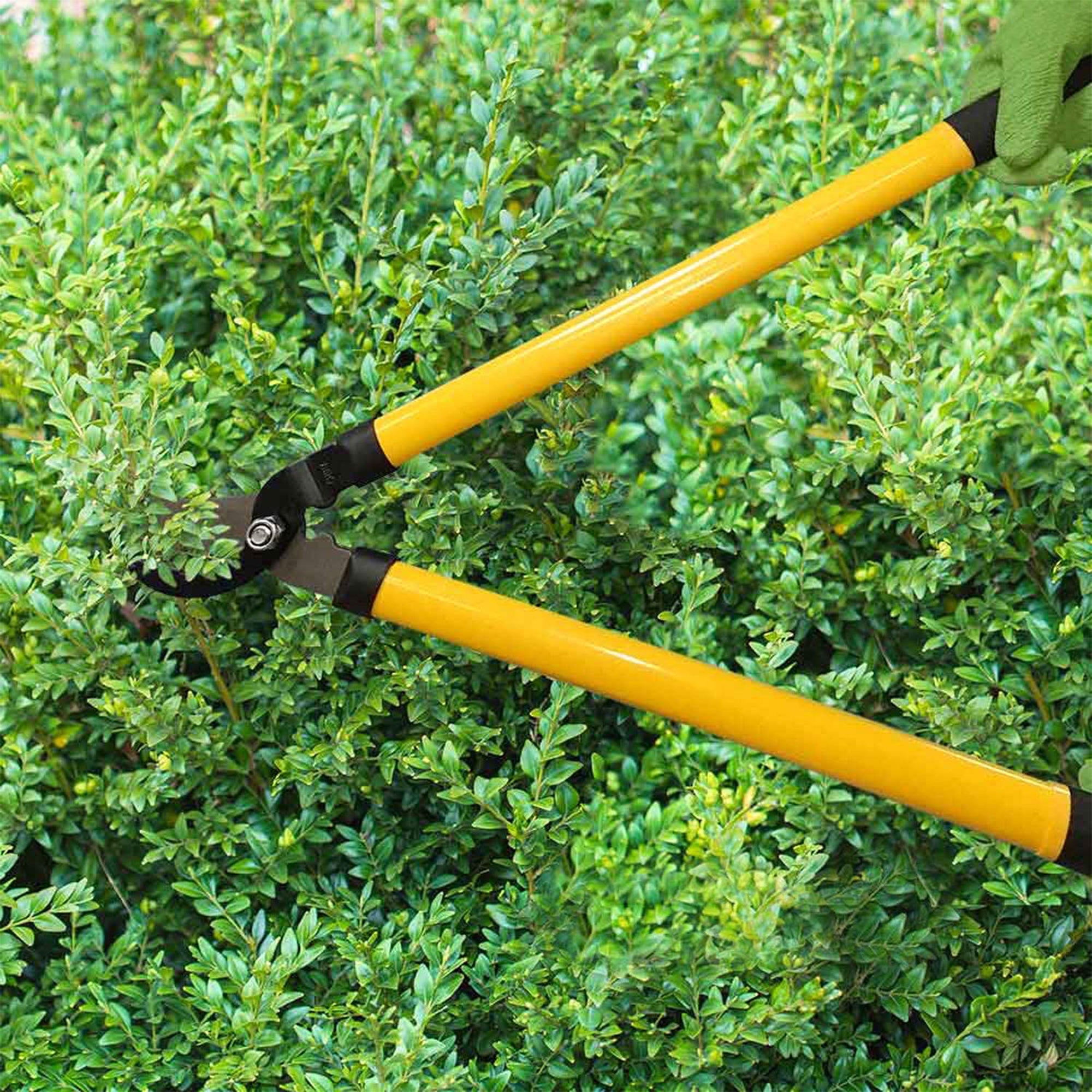 CENTURION 1222 3 Piece Lopper, Hedge Shear, and Pruner Branch Cutting Combo Set - VMInnovations