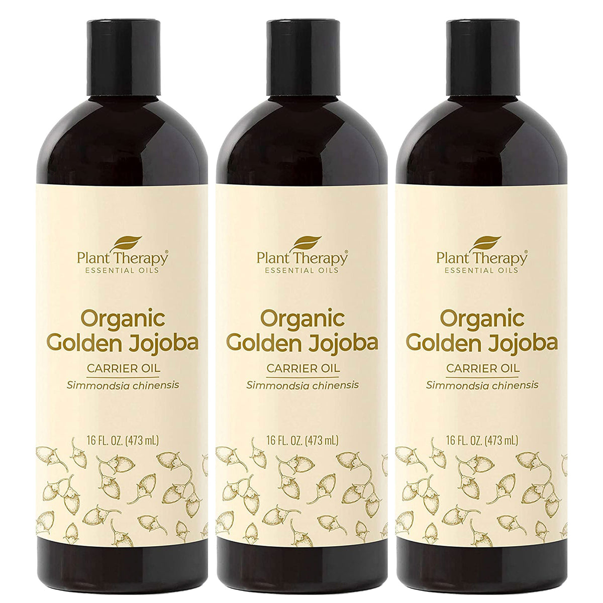 Plant Therapy Moisturizer Carrier Essential Oil, Organic Golden Jojoba (3 Pack)