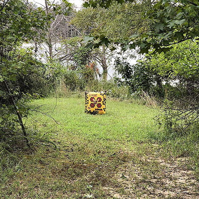 Morrell Yellow Jacket Field Archery Bag Target w/ Bow Practice Shooting Stand