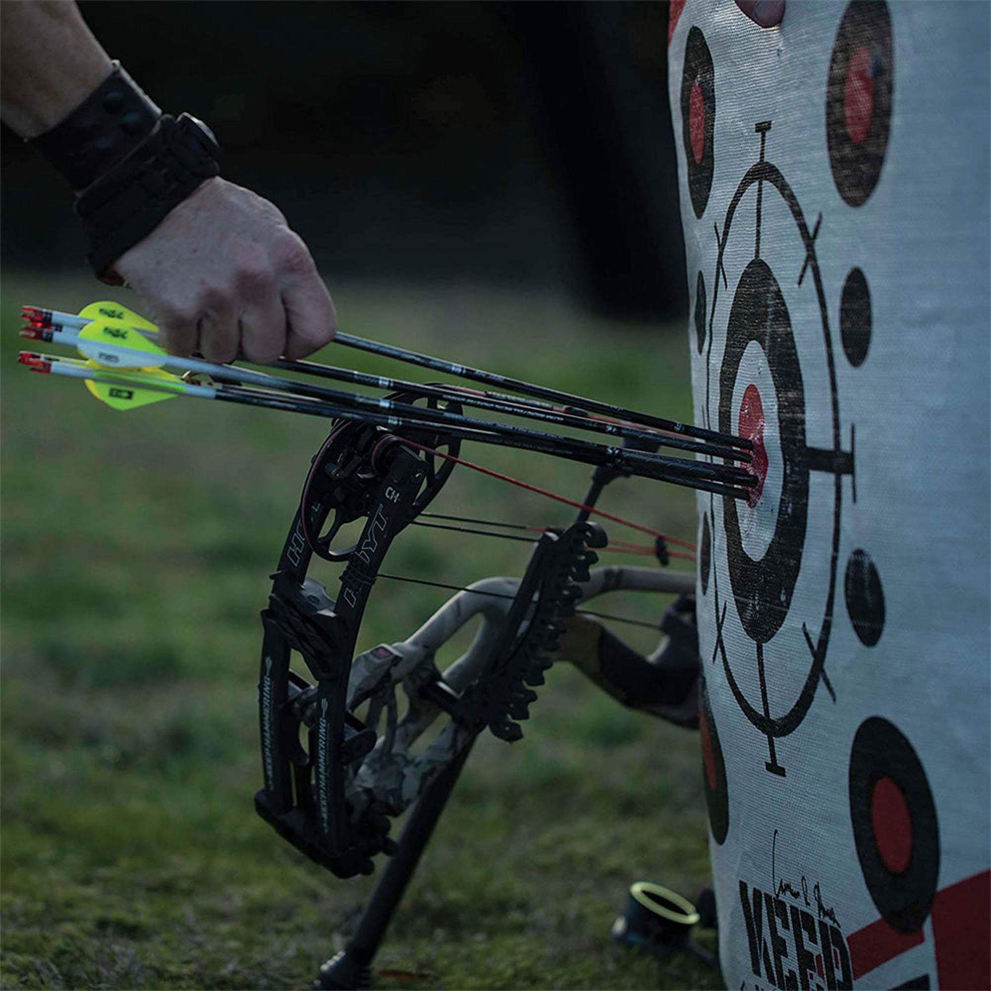 Morrell Outdoor Field Point Archery Bag Target w/ Bow Practice Shooting Stand - VMInnovations