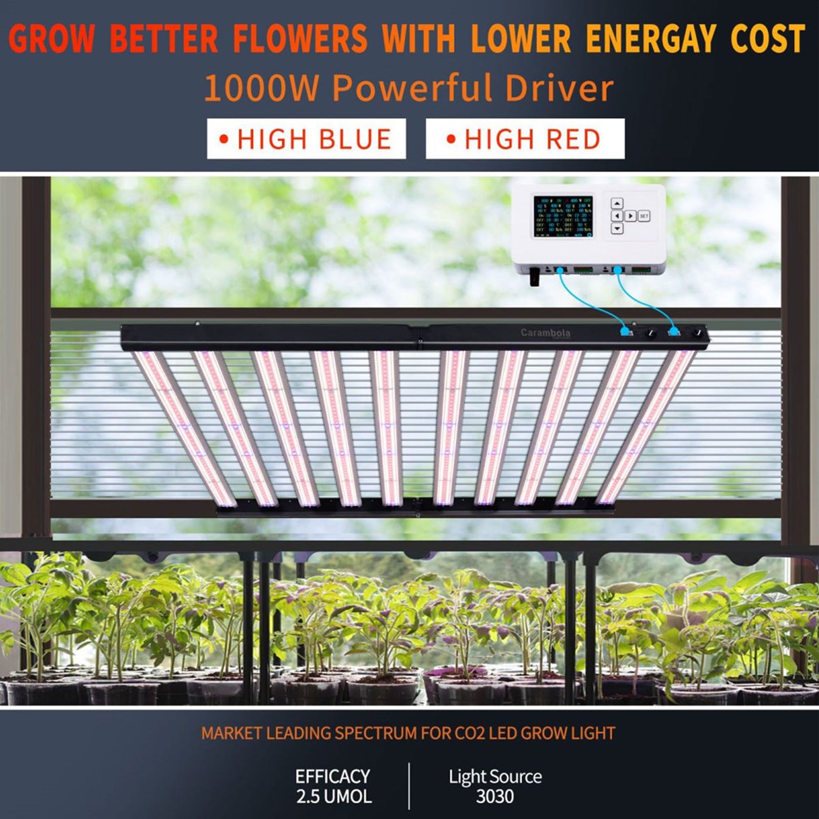 Carambola CB1000 47 x 43 Inch CO2 Pro 1,000 W Broad Spectrum LED Growing Light - VMInnovations