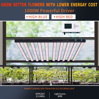 Carambola CB1000 47x43" CO2 Pro 1,000 W Broad Spectrum Growing Light (Open Box) - VMInnovations