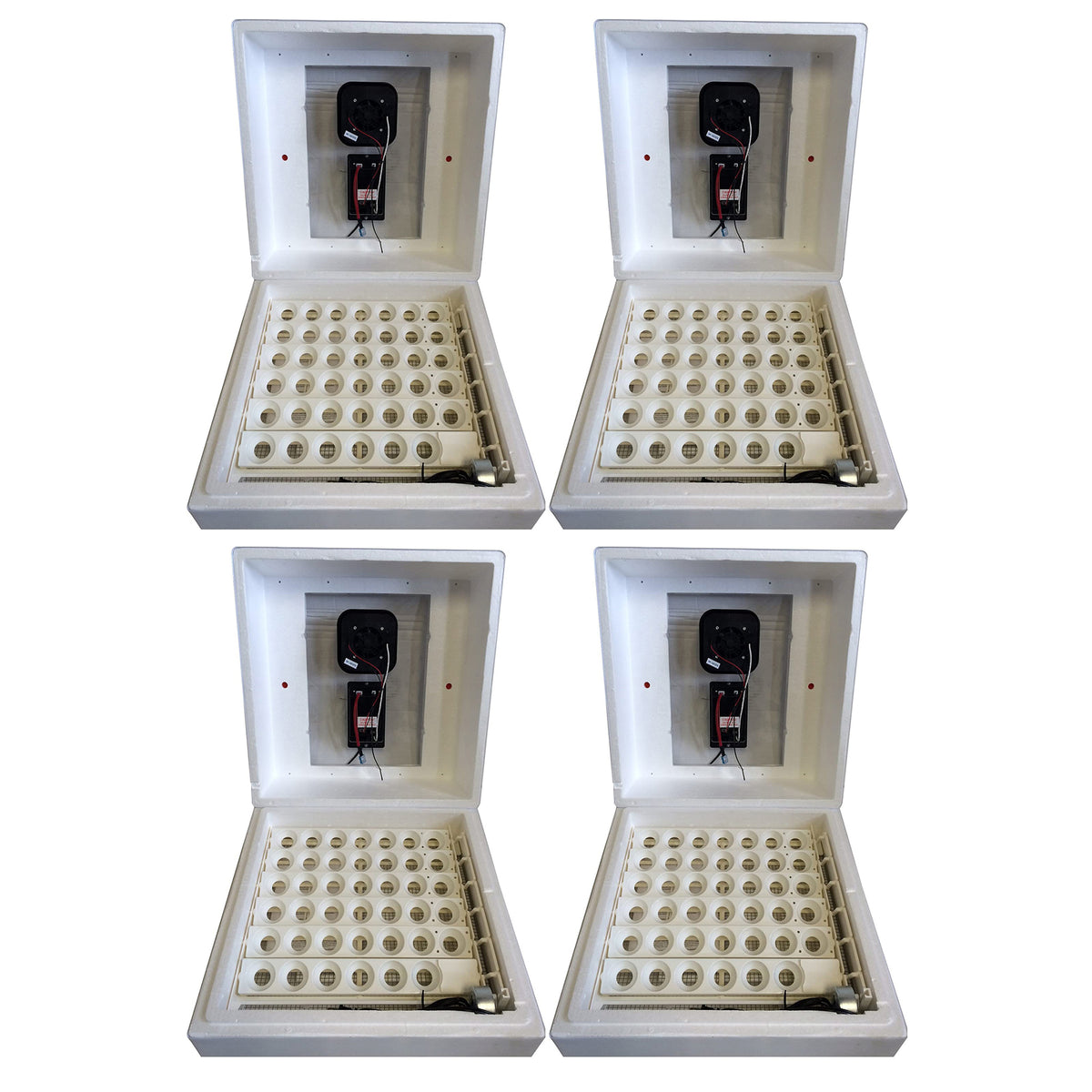 Farm Innovators 2450 Circulated Air Incubator w/ Auto Egg Turner, White (4 Pack)