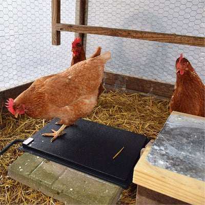 Farm Innovators 19 x 13 In Heated Chicken Mat for Coops & Nesting Areas (2 Pack) - VMInnovations