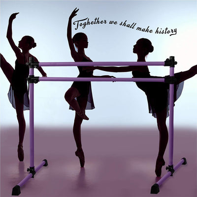 Yes4All 6' Portable Aluminum Freestanding Premium Ballet Barre, Auberine Purple