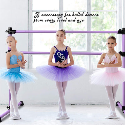Yes4All 6' Portable Aluminum Freestanding Premium Ballet Barre, Auberine Purple