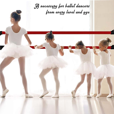Yes4All 7 Foot Portable Aluminum Freestanding Premium Ballet Barre, Burgundy Red