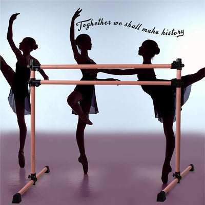 Yes4All 6 Foot Portable Aluminum Freestanding Premium Ballet Barre, Rose Gold