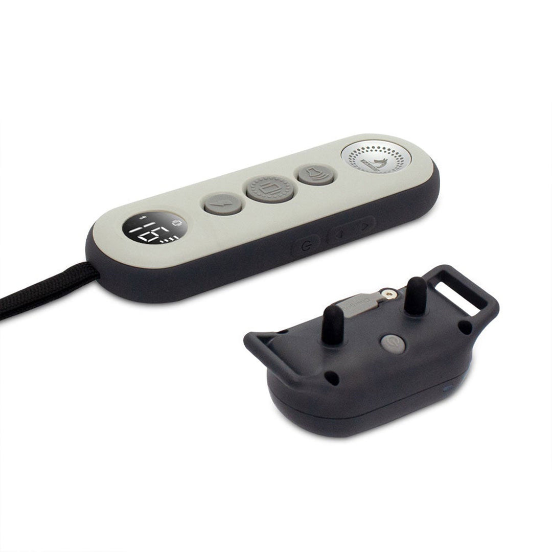 PATPET Rechargeable Waterproof Training Shock Collar for All Dog Sizes(Open Box)