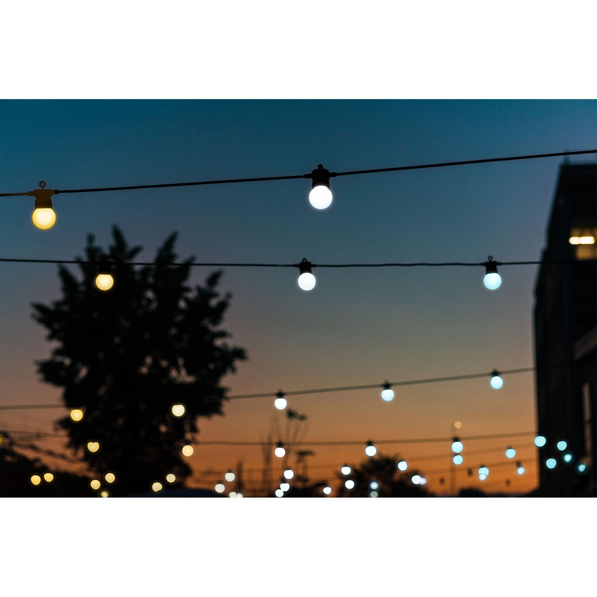 Twinkly Festoon App-Controlled Smart LED Light String 20 AWW (Open Box) - VMInnovations