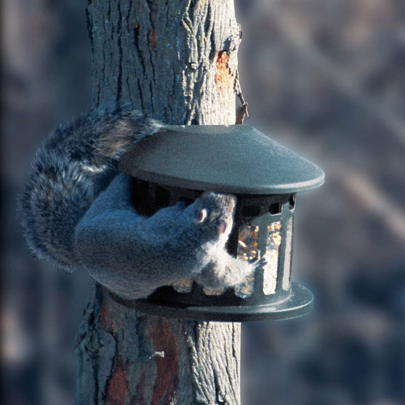 Woodlink Alloy Steel Hanging Squirrel Diner 2 Feeder for Gardens and Backyards