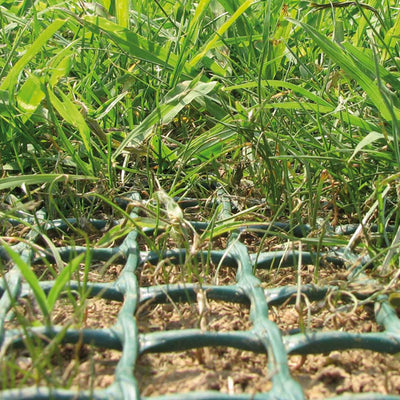 Tenax HDPE Plastic Flexible Mesh Lawn Turf Reinforcement, 6.7 x 100 Feet, Green