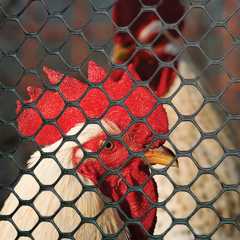 Tenax Plastic Poultry Fence Lightweight Garden Netting, 2&