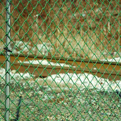 Tenax HDPE Plastic Commercial Mesh Sentry Secura Fencing, 4 x 50 Feet, Green - VMInnovations